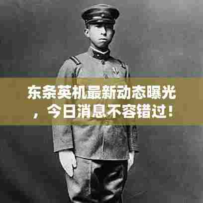 东条英机最新动态曝光，今日消息不容错过！