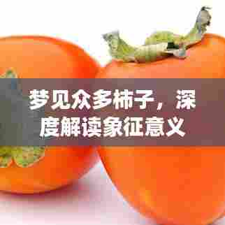 梦见众多柿子，深度解读象征意义与预兆