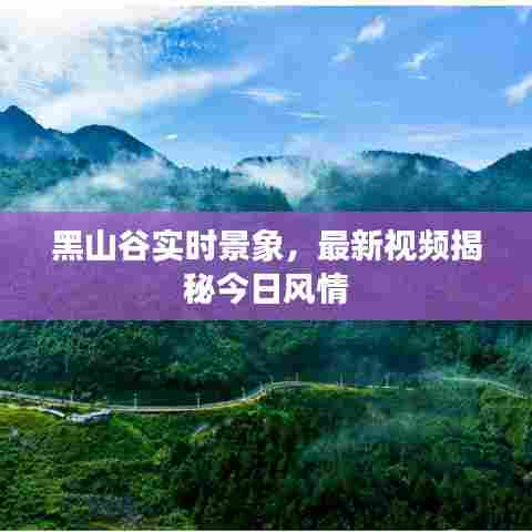 黑山谷实时景象，最新视频揭秘今日风情