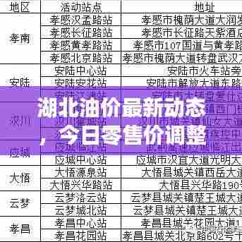 湖北油价最新动态,今日零售价调整及分析