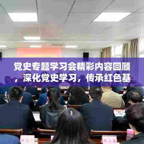 党史专题学习会精彩内容回顾,深化党史学习,传承红色基因