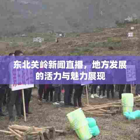 东北关岭新闻直播，地方发展的活力与魅力展现