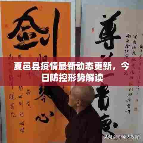夏邑县疫情最新动态更新，今日防控形势解读