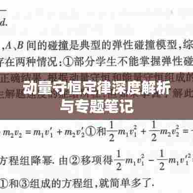 动量守恒定律深度解析与专题笔记