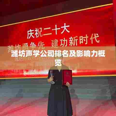 潍坊声学公司排名及影响力概览