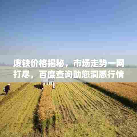 废铁价格揭秘，市场走势一网打尽，百度查询助您洞悉行情