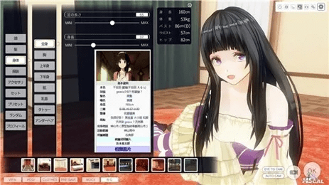 揭秘3d定制女仆2 版本，决策信息解析说明_储蓄版_v5.948，创意工作的无限可能