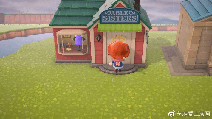 动物之森版本,实地考察分析数据 V_v10.307