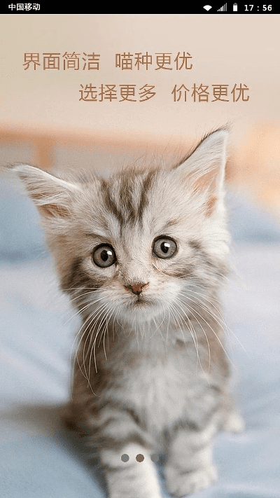 喵咪官方下载 下载,前沿解析评估 V2_v9.821