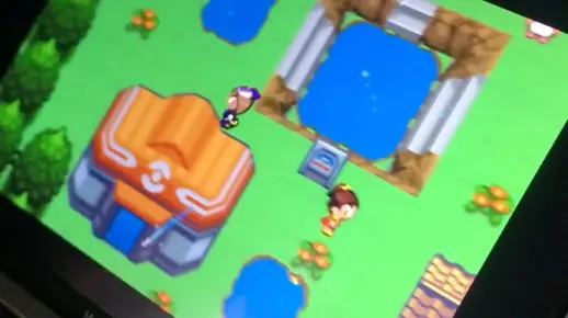 gba版本的口袋妖怪，M版v6.611软件介绍——新手友好指南