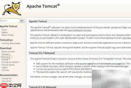 tomcat官方下载,实践验证解释定义&amp;UHD款_v4.764