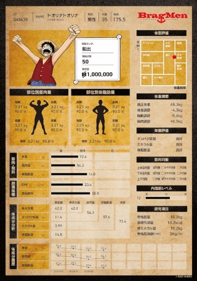 系统工具软件，海贼王海贼王版本，全面数据解释定义精装版_v8.827介绍