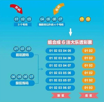 锦州乐透游戏官方下载,实效性解析解读策略|高级版_v4.427