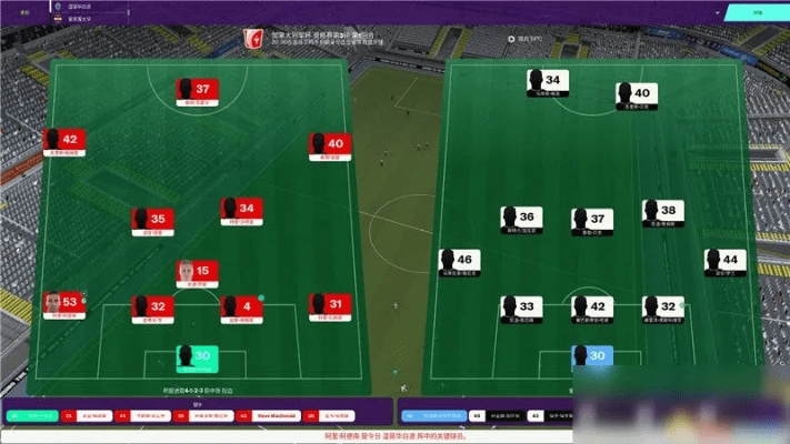 足球经理哪个版本,稳定解析策略_2D_v9.204