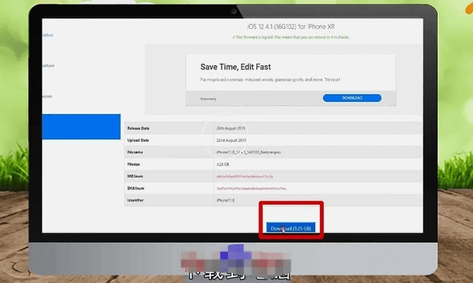 苹果手机如何降低版本,精细化解读说明&amp;户外版_v2.548