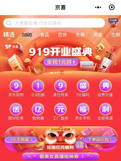 京喜最新版本,综合解答解释定义_bundle_v5.955