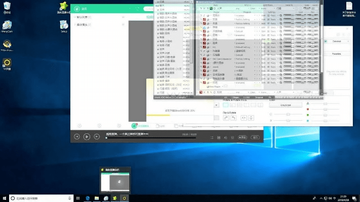 yy伴侣老版本,系统分析解释定义_DP_v5.256