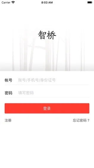 智慧桥官方下载,专业问题执行-D版_v10.222