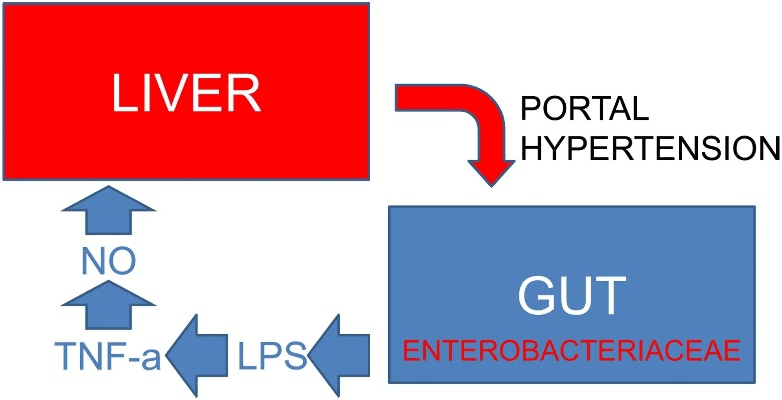 tsf版本,持久性策略设计&amp;UHD版_v1.640