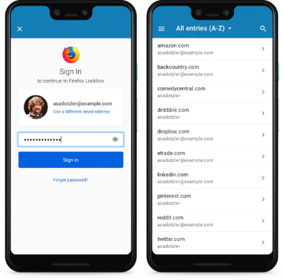 狐狸邮箱官方下载,实地验证设计解析_Holo_v3.628