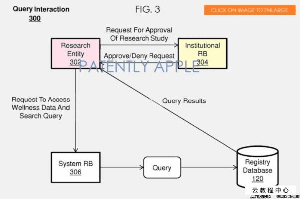7plus版本,理论研究解析说明&amp;Executive1_v6.176