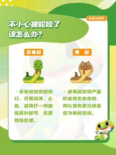 花蛇官方下载,安全设计解析_界面版_v3.383