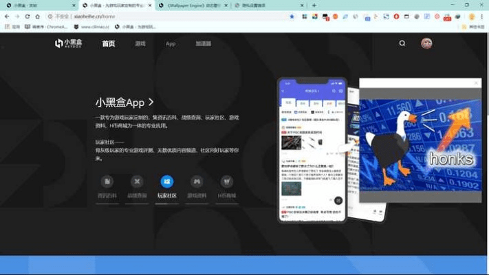 desktop goose官方下载,实地评估解析数据&amp;AR版_v6.534