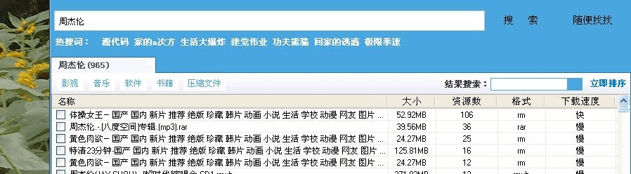 p2p搜索器官方下载,深入应用解析数据-S_v5.939