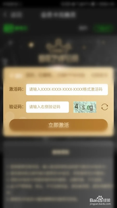 手游发行和爱奇艺激活码怎么获取,数据导向计划解析_FHD_v10.993