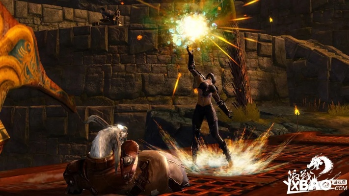 白日门手游和激战2激活码怎激活,确保问题说明|豪华版_v10.236